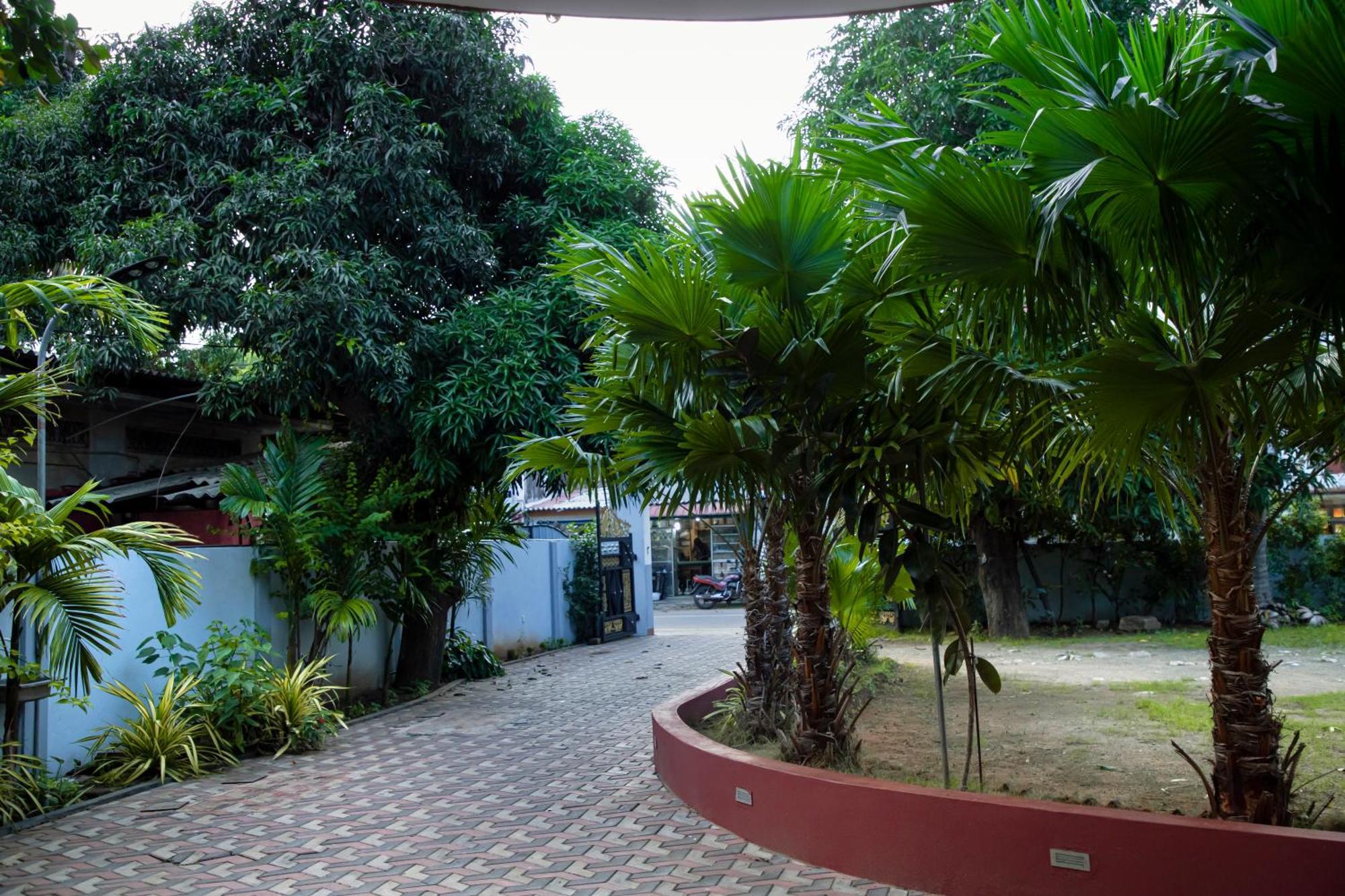 Golden Star Guest House 贾夫纳 外观 照片